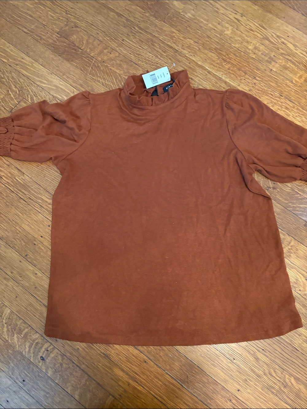 Gibson Rust Ruffle Mock Neck Puff Sleeve Top